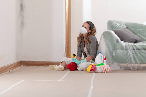 Reliable Mold Cleanup contractor in Flintstone, MD by Cheap Mold Removal
